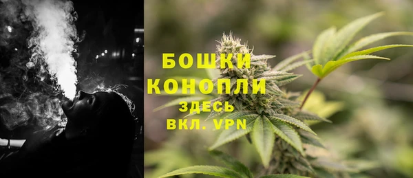 гидропоника Карталы