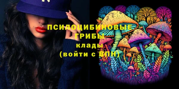 мет Карпинск
