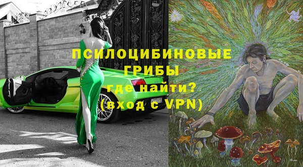 ешки Касимов