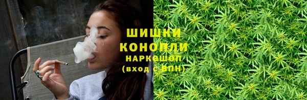 гидропоника Карталы