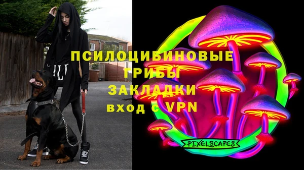 гидропоника Карталы