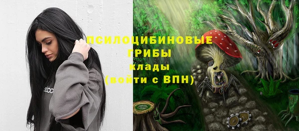 ешки Касимов