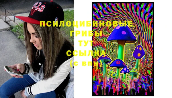 мет Карпинск