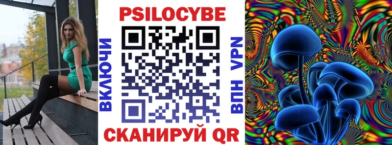 Псилоцибиновые грибы Magic Shrooms  Купить где  Балашов 